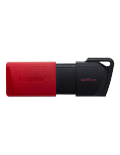 Clé USB 128 Go USB Type-A Kingston Technology DataTraveler Exodia sur