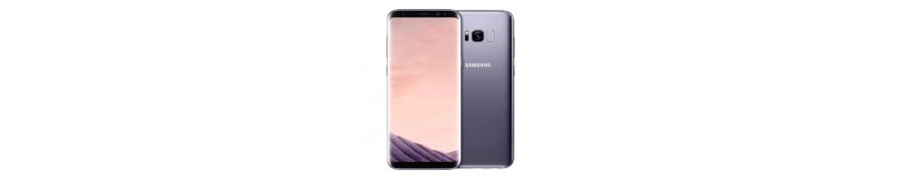 Protection pour Samsung Galaxy S8 Plus