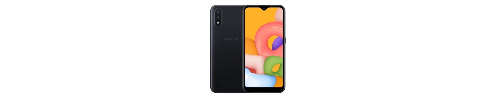 Pièces détachées pour Samsung Galaxy A01 