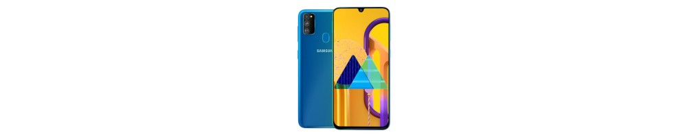 Pièces détachées pour Samsung Galaxy M30s
